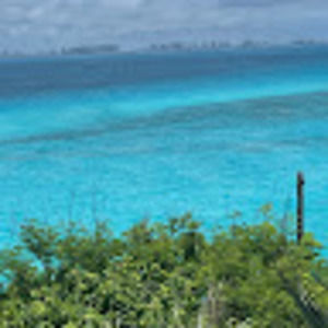 Meet your Posher, Marlen